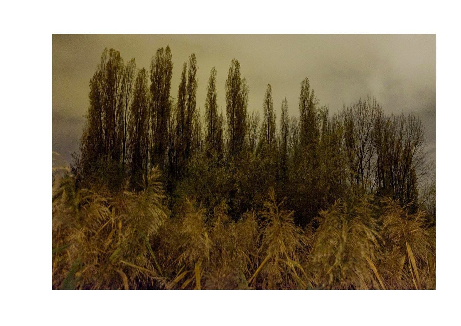 Approaching Silence 12