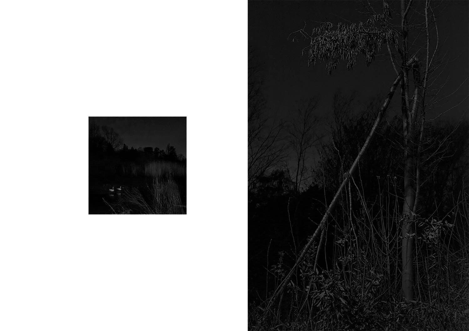 Approaching Silence 19