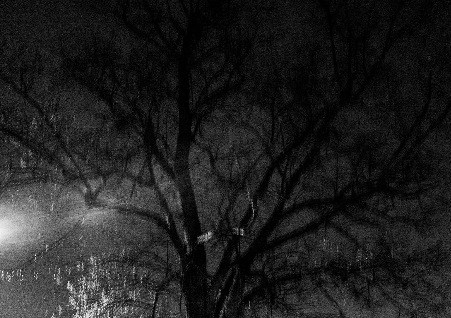 Approaching Silence 20