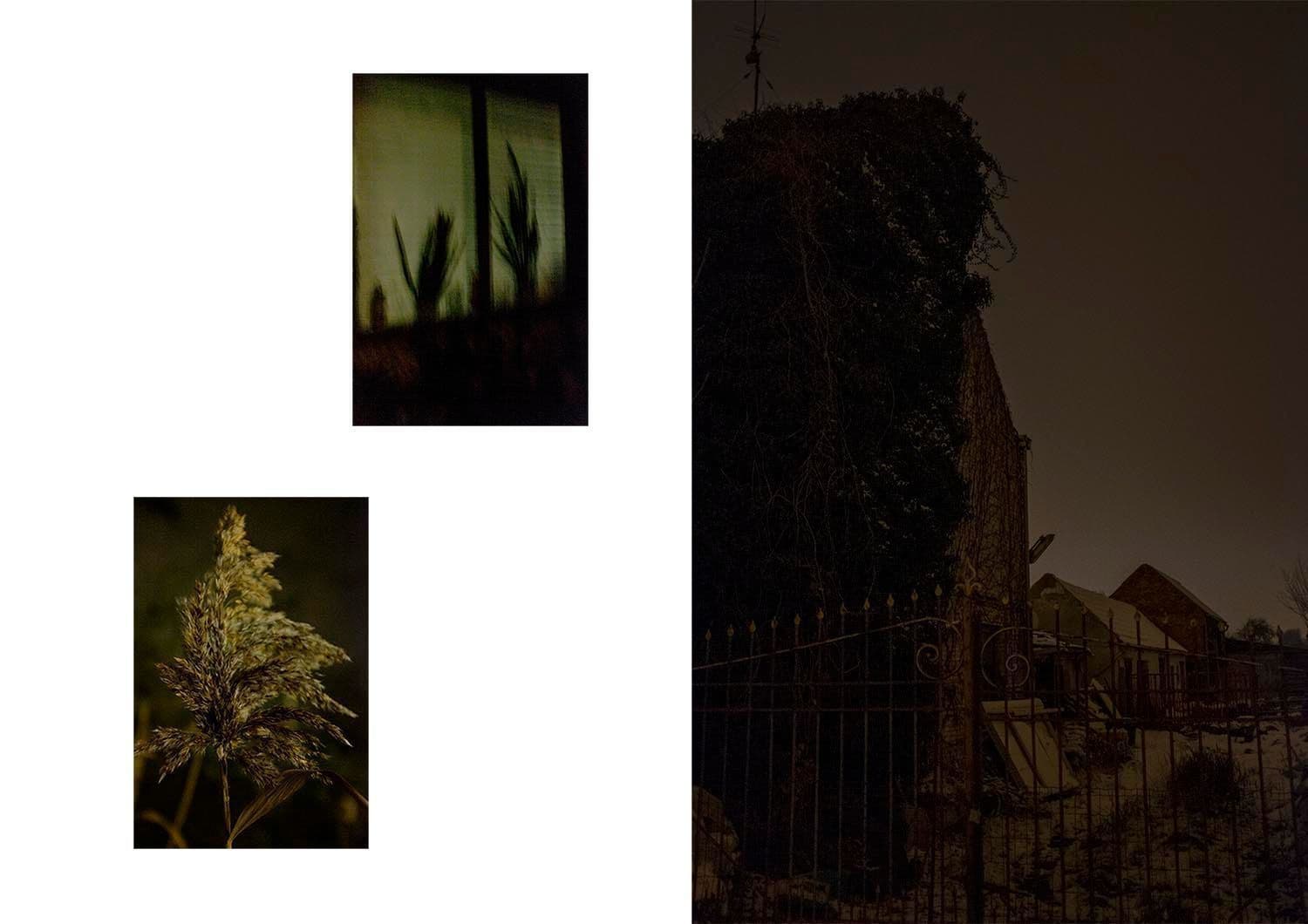 Approaching Silence 22