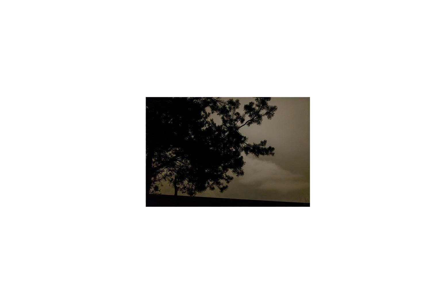 Approaching Silence 25