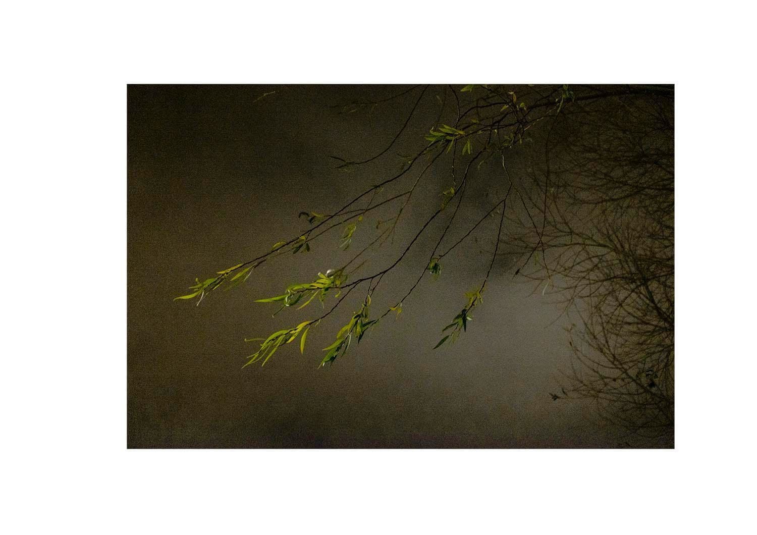 Approaching Silence 29