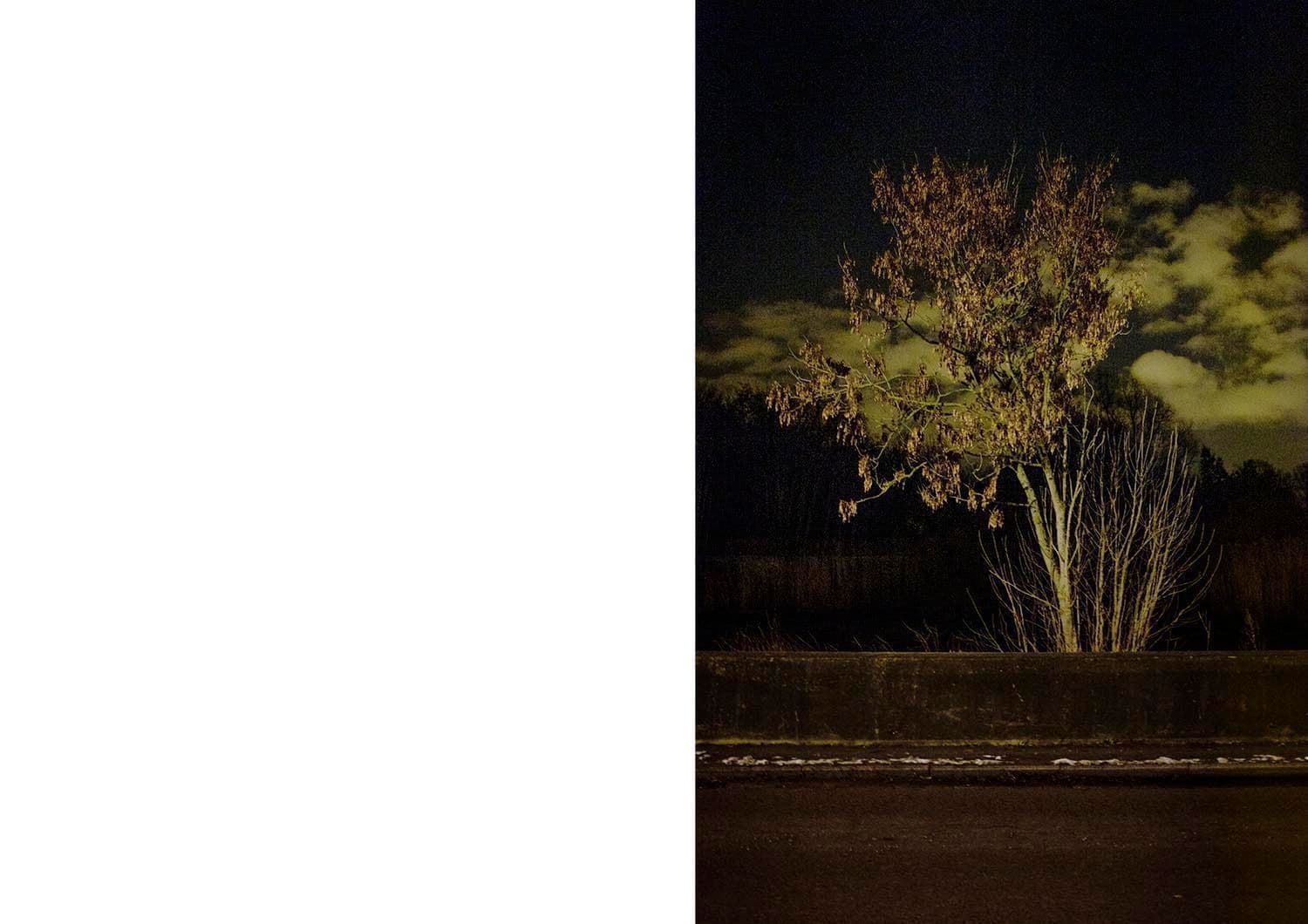 Approaching Silence 30