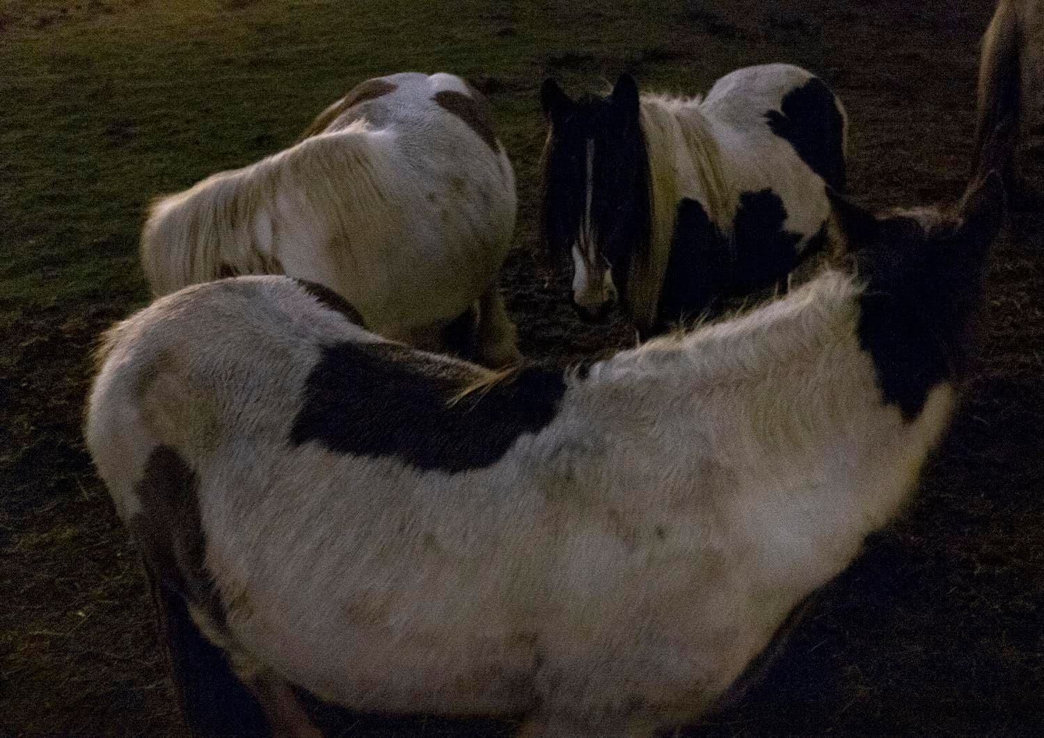 Approaching Silence 5