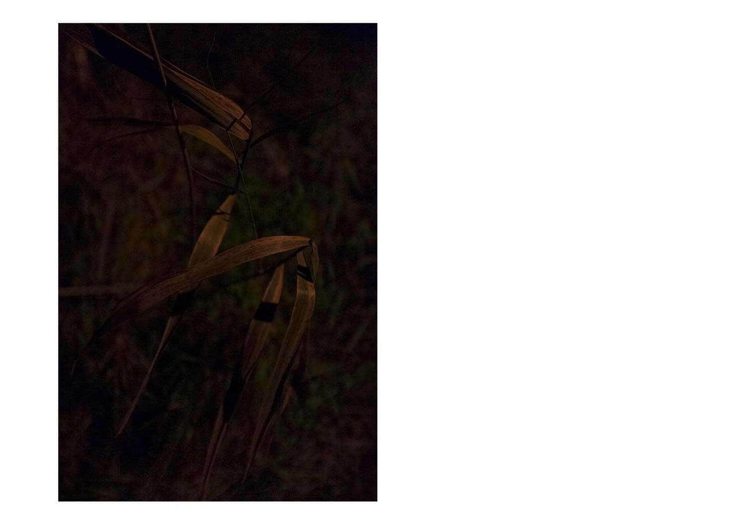 Approaching Silence 9