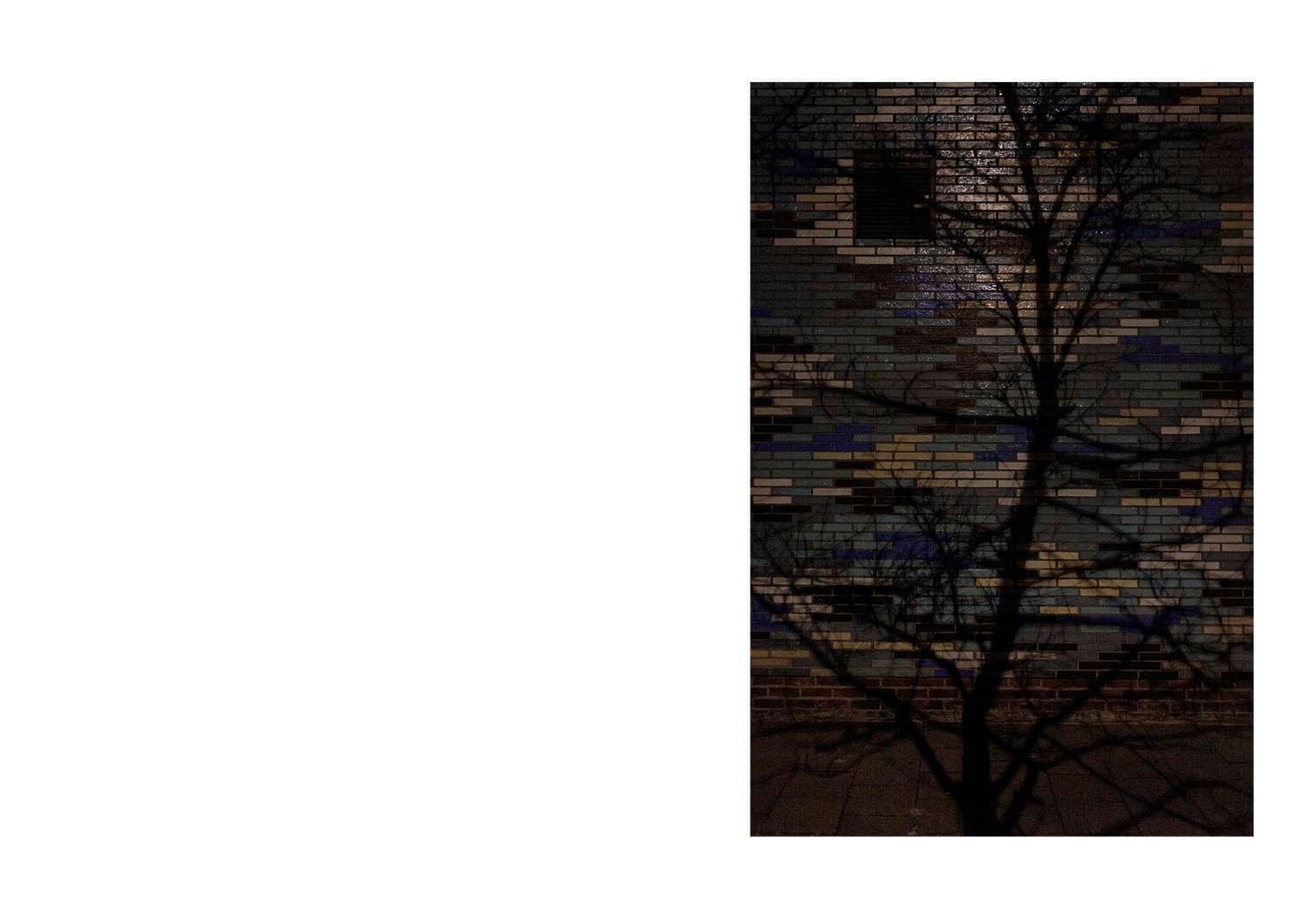 Approaching Silence 10