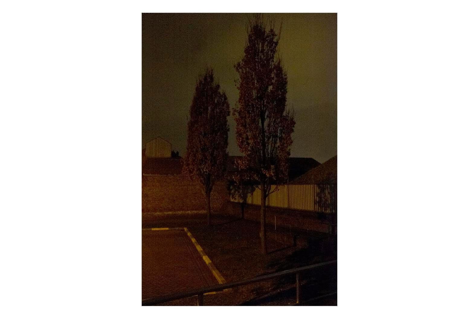 Approaching Silence 26