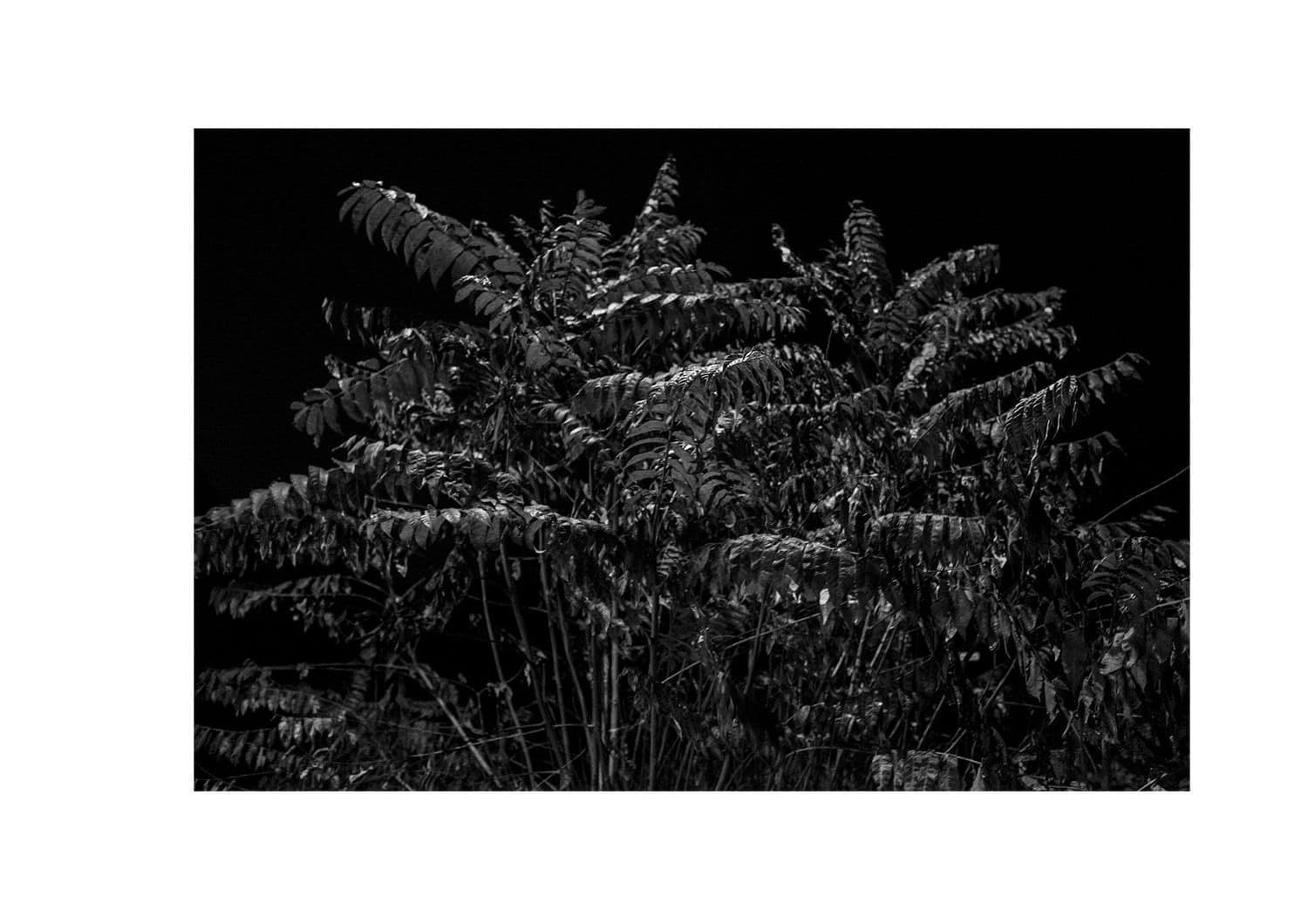 Approaching Silence 6