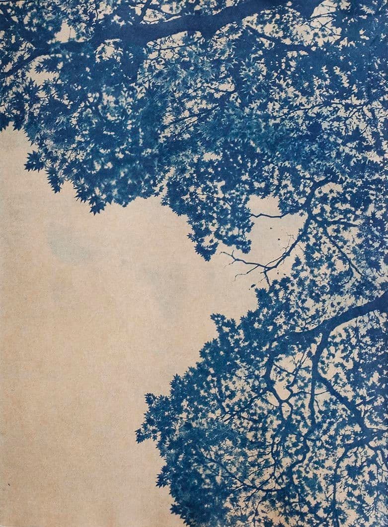 Cyanotype - Japan 1