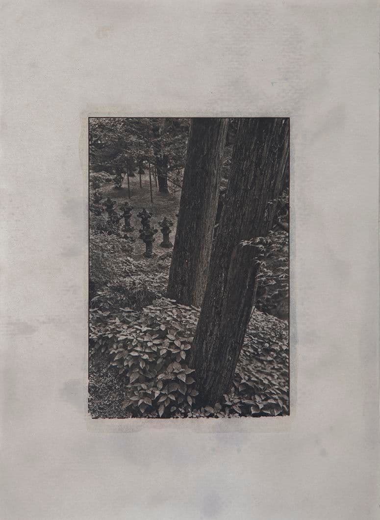 Cyanotype - Japan 10