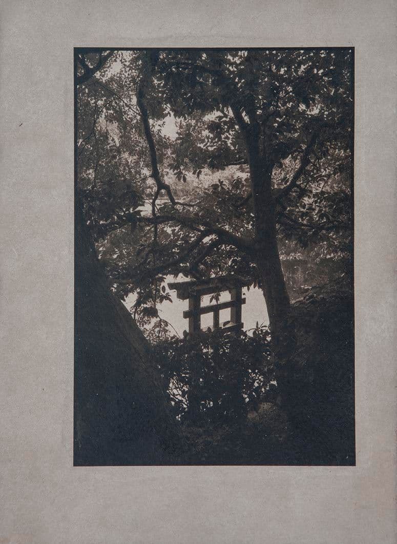 Cyanotype - Japan 11