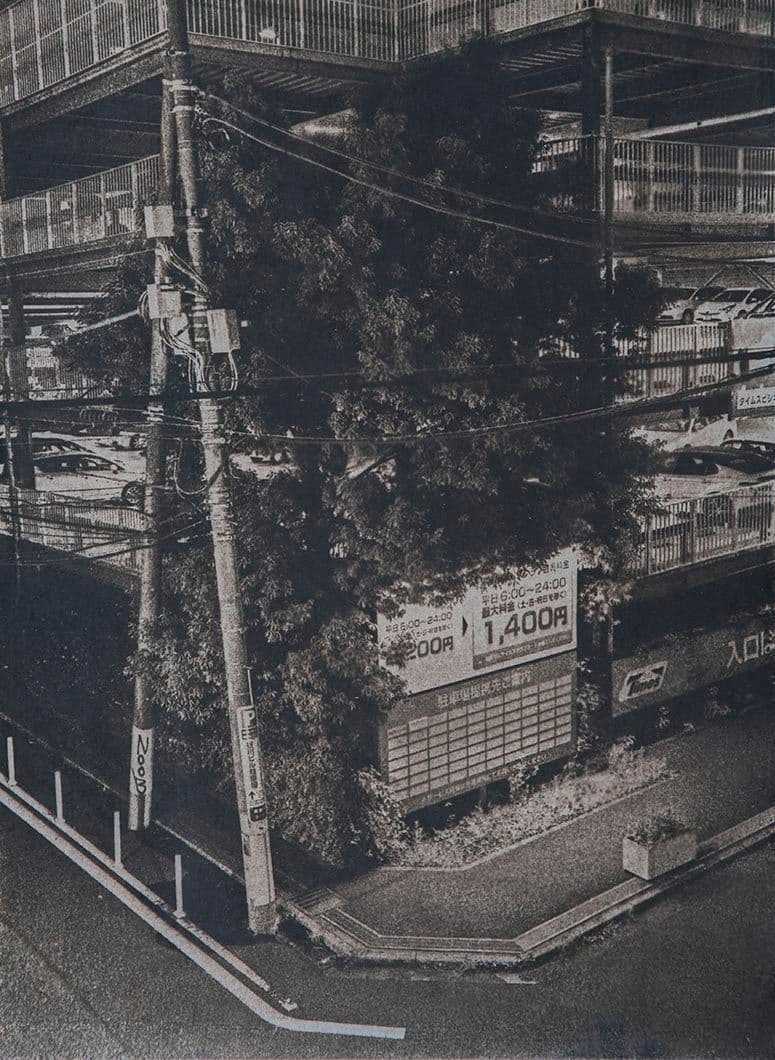 Cyanotype - Japan 14