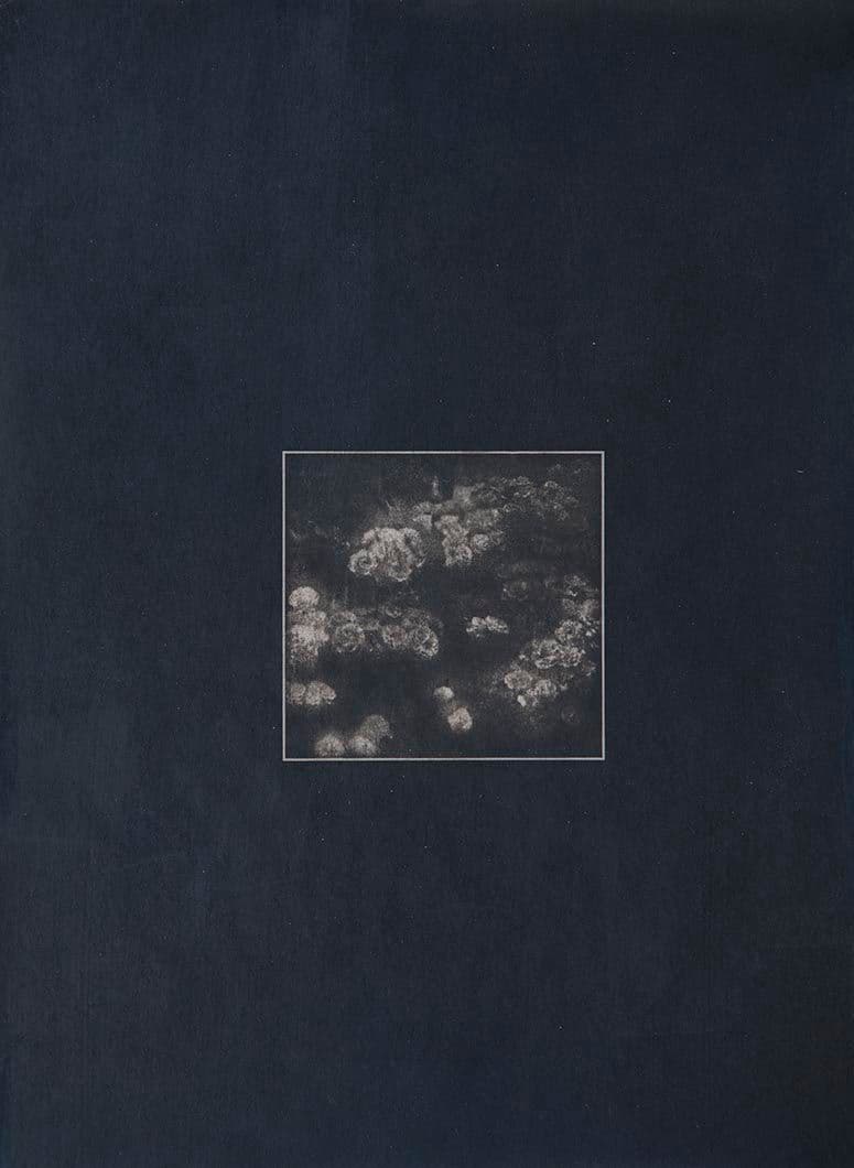 Cyanotype - Japan 15