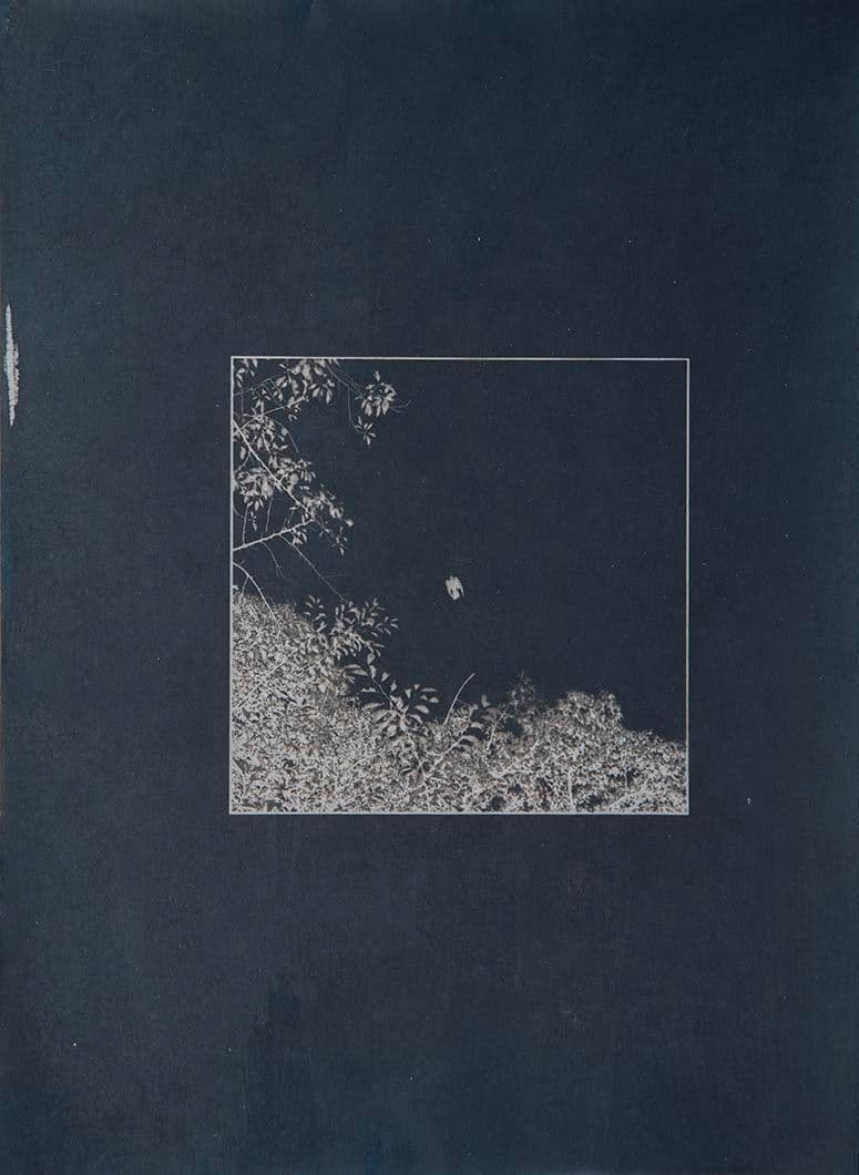 Cyanotype - Japan 16
