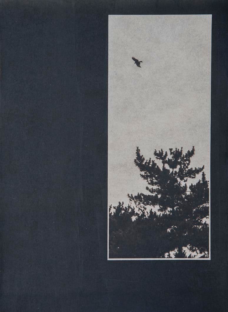 Cyanotype - Japan 18