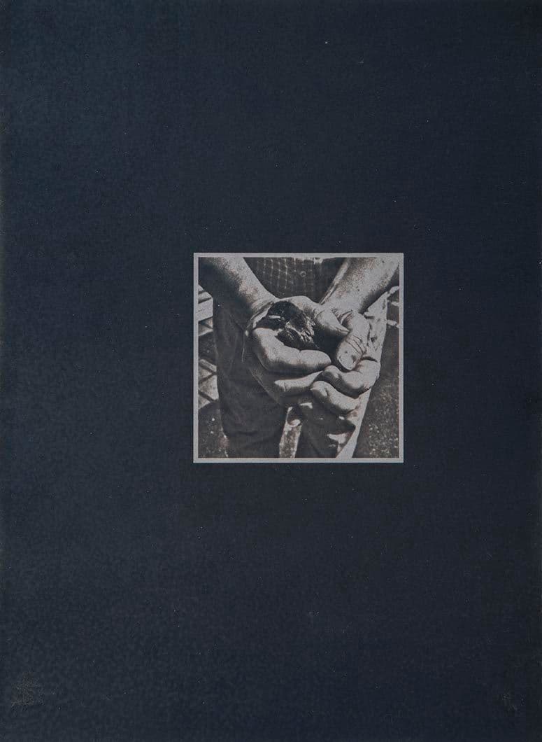 Cyanotype - Japan 19