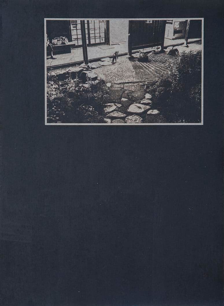 Cyanotype - Japan 21