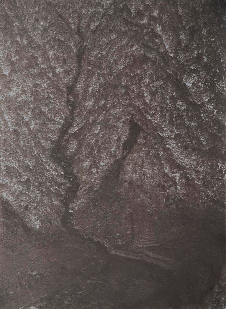 Cyanotype - Japan 24