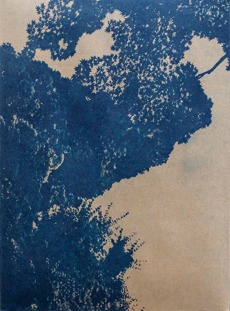 Cyanotype - Japan 29