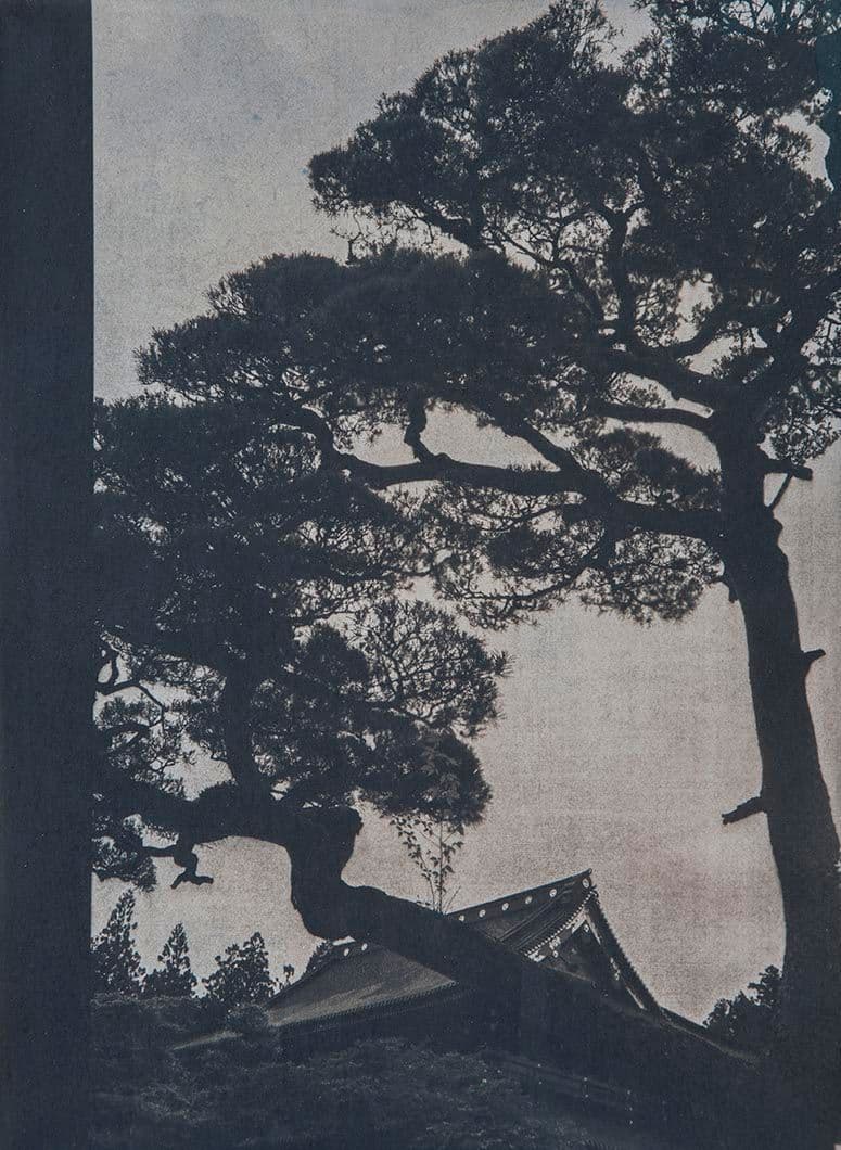 Cyanotype - Japan 4