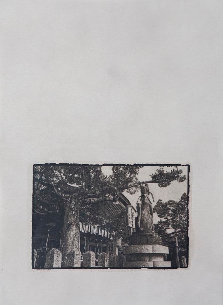 Cyanotype - Japan 5