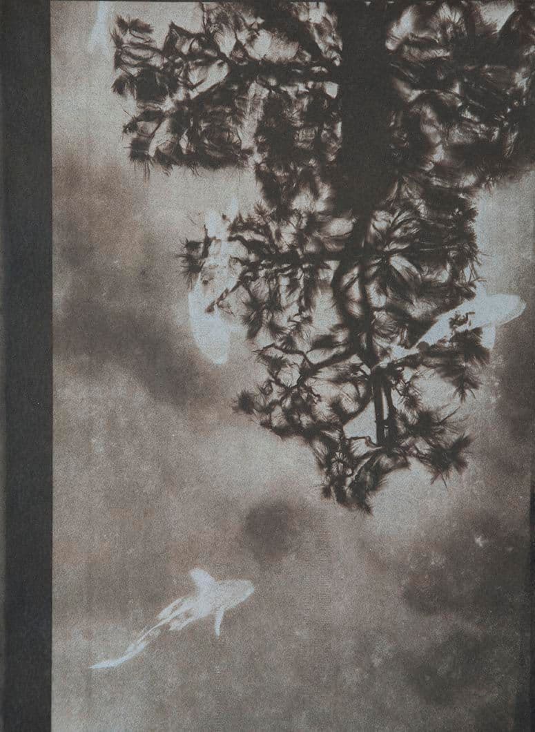 Cyanotype - Japan 7