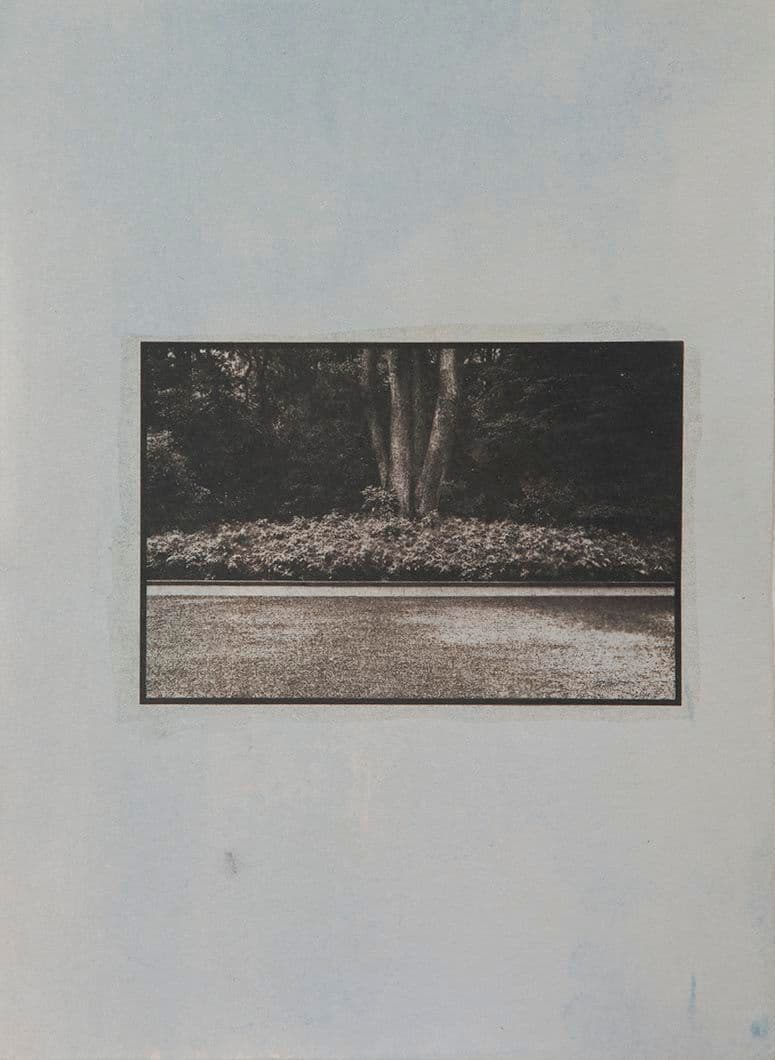 Cyanotype - Japan 8