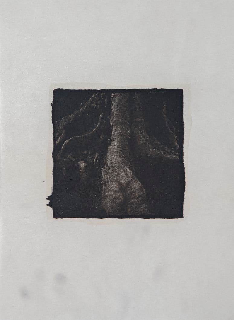 Cyanotype - Japan 9